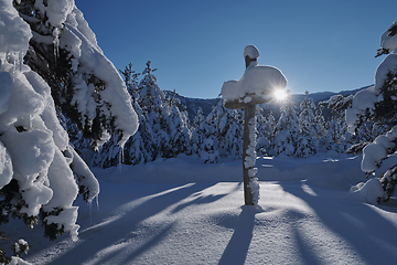 Image showing wooden cross covered with fresh snow at beautiful fresh winter morning