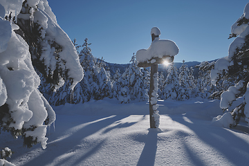 Image showing wooden cross covered with fresh snow at beautiful fresh winter morning