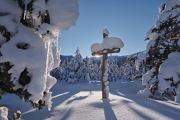 Image showing wooden cross covered with fresh snow at beautiful fresh winter morning