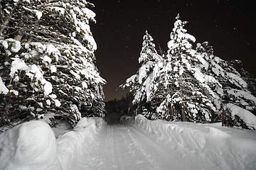 Image showing winter night landscape nature forest