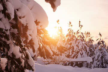 Image showing winter sunrise with fresh snow covered forest and mountains