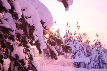 Image showing winter sunrise with fresh snow covered forest and mountains