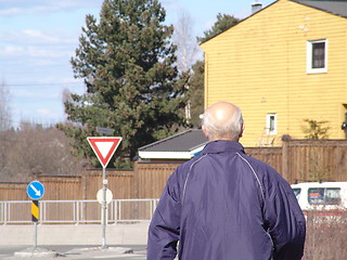 Image showing Walking