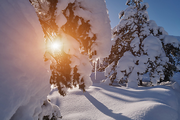 Image showing winter sunrise with fresh snow covered forest and mountains
