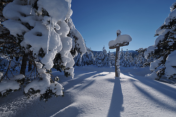 Image showing wooden cross covered with fresh snow at beautiful fresh winter morning