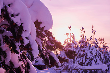 Image showing winter sunrise with fresh snow covered forest and mountains