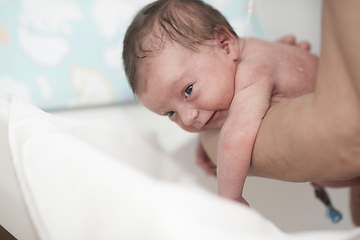 Image showing Newborn baby girl taking a first bath