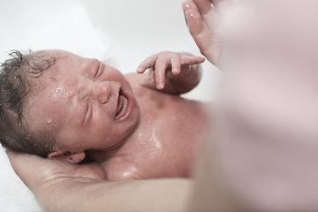 Image showing Newborn baby girl taking a first bath