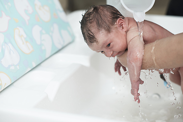 Image showing Newborn baby girl taking a first bath