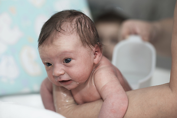 Image showing Newborn baby girl taking a first bath