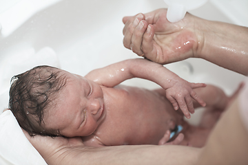 Image showing Newborn baby girl taking a first bath