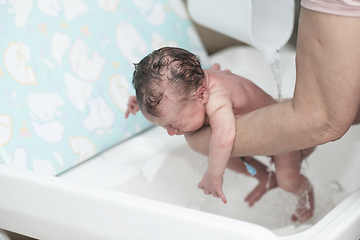 Image showing Newborn baby girl taking a first bath