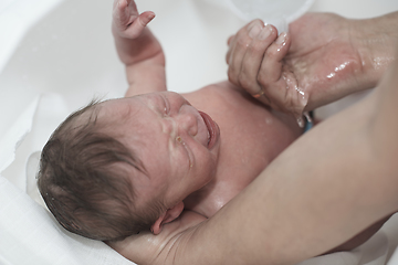 Image showing Newborn baby girl taking a first bath