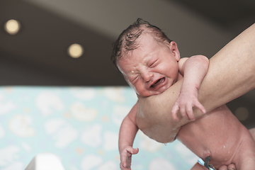 Image showing Newborn baby girl taking a first bath