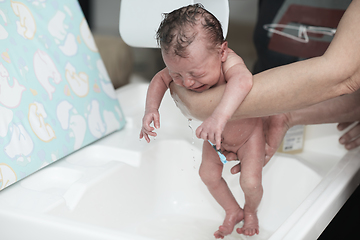 Image showing Newborn baby girl taking a first bath