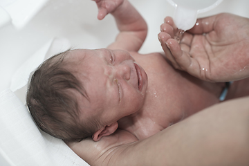 Image showing Newborn baby girl taking a first bath