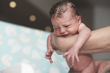 Image showing Newborn baby girl taking a first bath