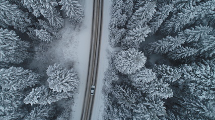 Image showing country road in winter season with fresh snow