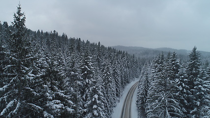 Image showing country road in winter season with fresh snow