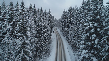 Image showing country road in winter season with fresh snow