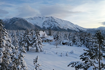 Image showing fresh snow covered trees and wooden cabin in wilderness