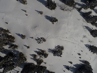 Image showing sunny winter day with fresh snow in ski resort