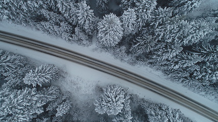 Image showing country road in winter season with fresh snow