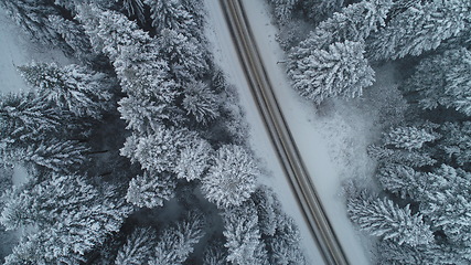 Image showing country road in winter season with fresh snow