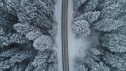 Image showing country road in winter season with fresh snow