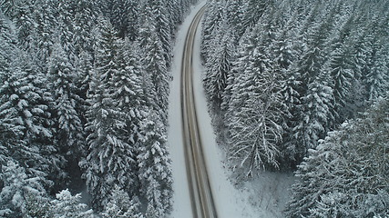 Image showing country road in winter season with fresh snow