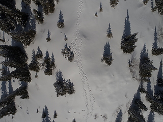 Image showing sunny winter day with fresh snow in ski resort