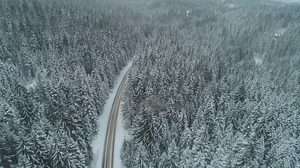 Image showing country road in winter season with fresh snow