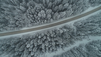 Image showing country road in winter season with fresh snow