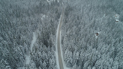 Image showing country road in winter season with fresh snow