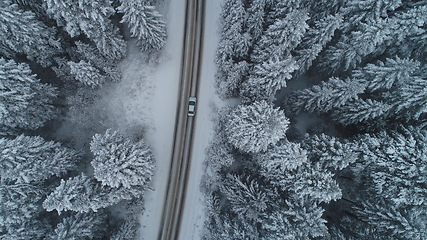 Image showing country road in winter season with fresh snow