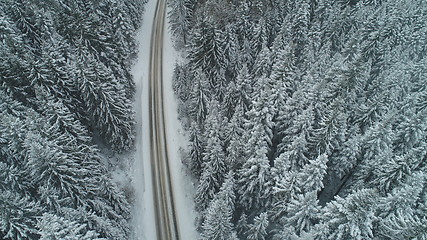 Image showing country road in winter season with fresh snow