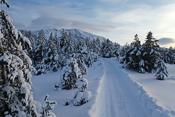 Image showing country road in winter season with fresh snow