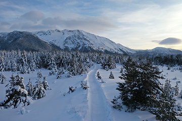 Image showing country road in winter season with fresh snow