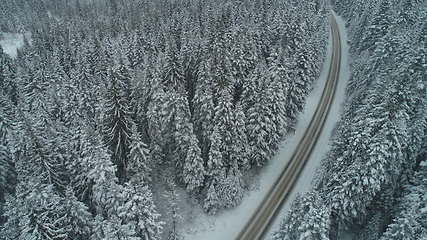 Image showing country road in winter season with fresh snow