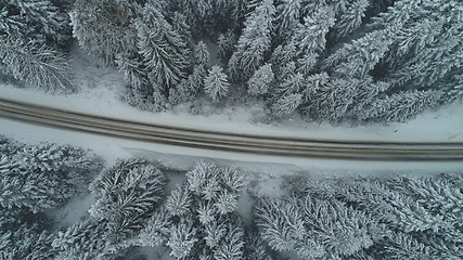 Image showing country road in winter season with fresh snow