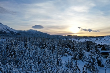 Image showing fresh snow covered trees and wooden cabin in wilderness