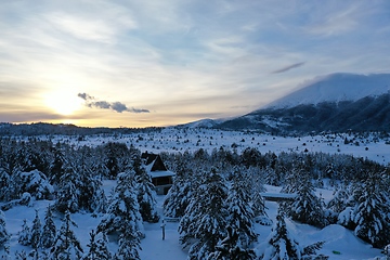 Image showing fresh snow covered trees and wooden cabin in wilderness