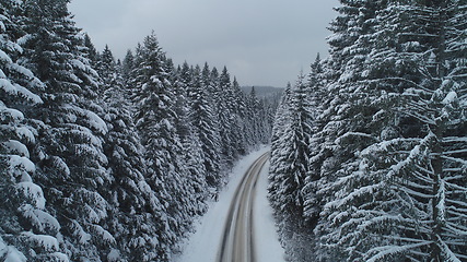 Image showing country road in winter season with fresh snow