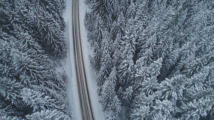 Image showing country road in winter season with fresh snow