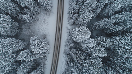 Image showing country road in winter season with fresh snow