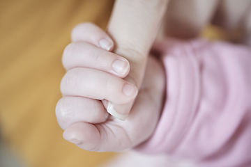 Image showing mother is playing with baby at home