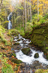 Image showing Oirase Stream in Japan