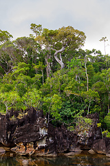 Image showing Masoala National Park landscape, Madagascar