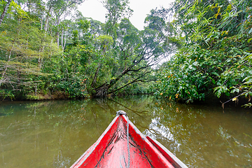 Image showing Masoala National Park landscape, Madagascar