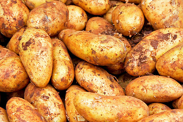 Image showing Dirty potatoes